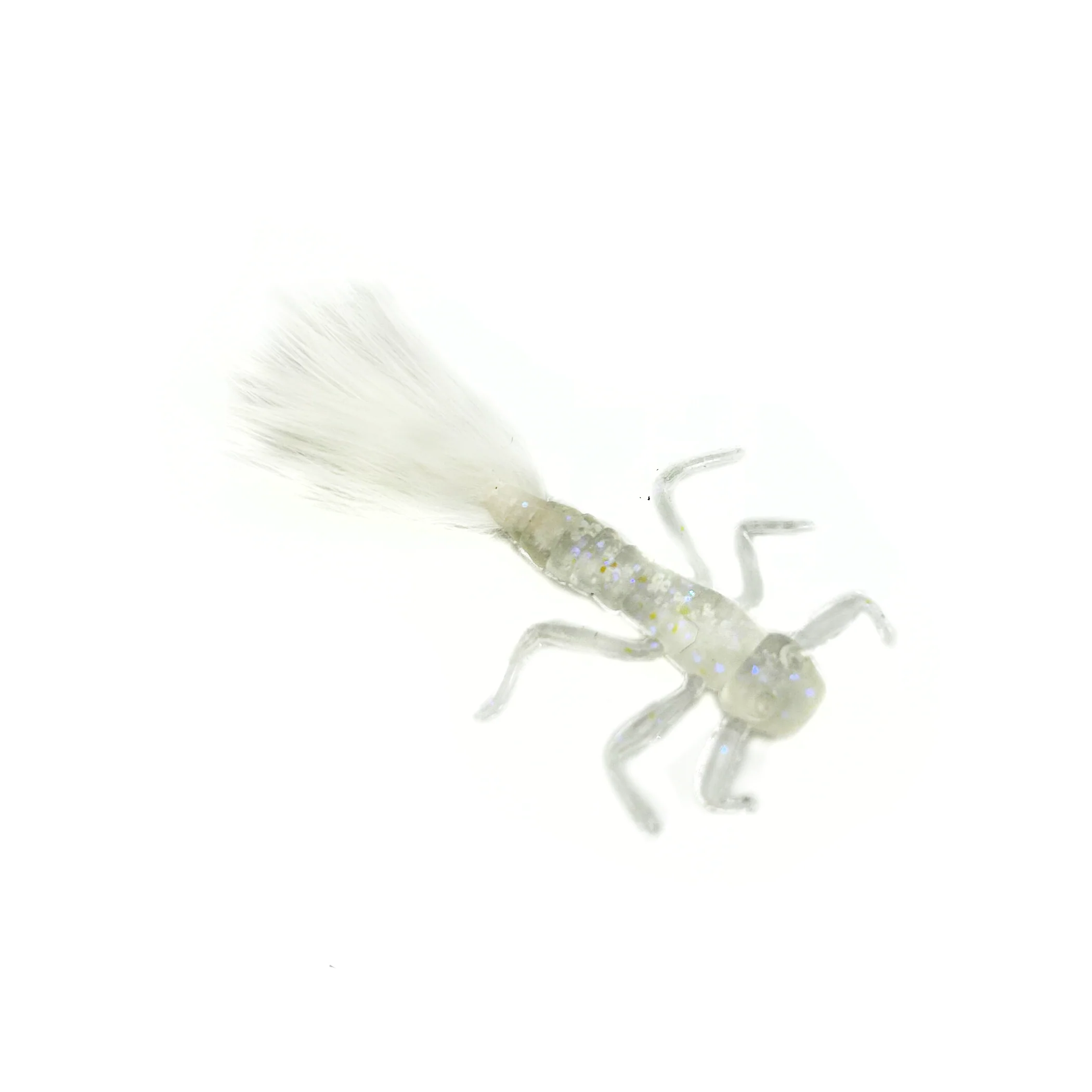 Crappie Bug - Image 6