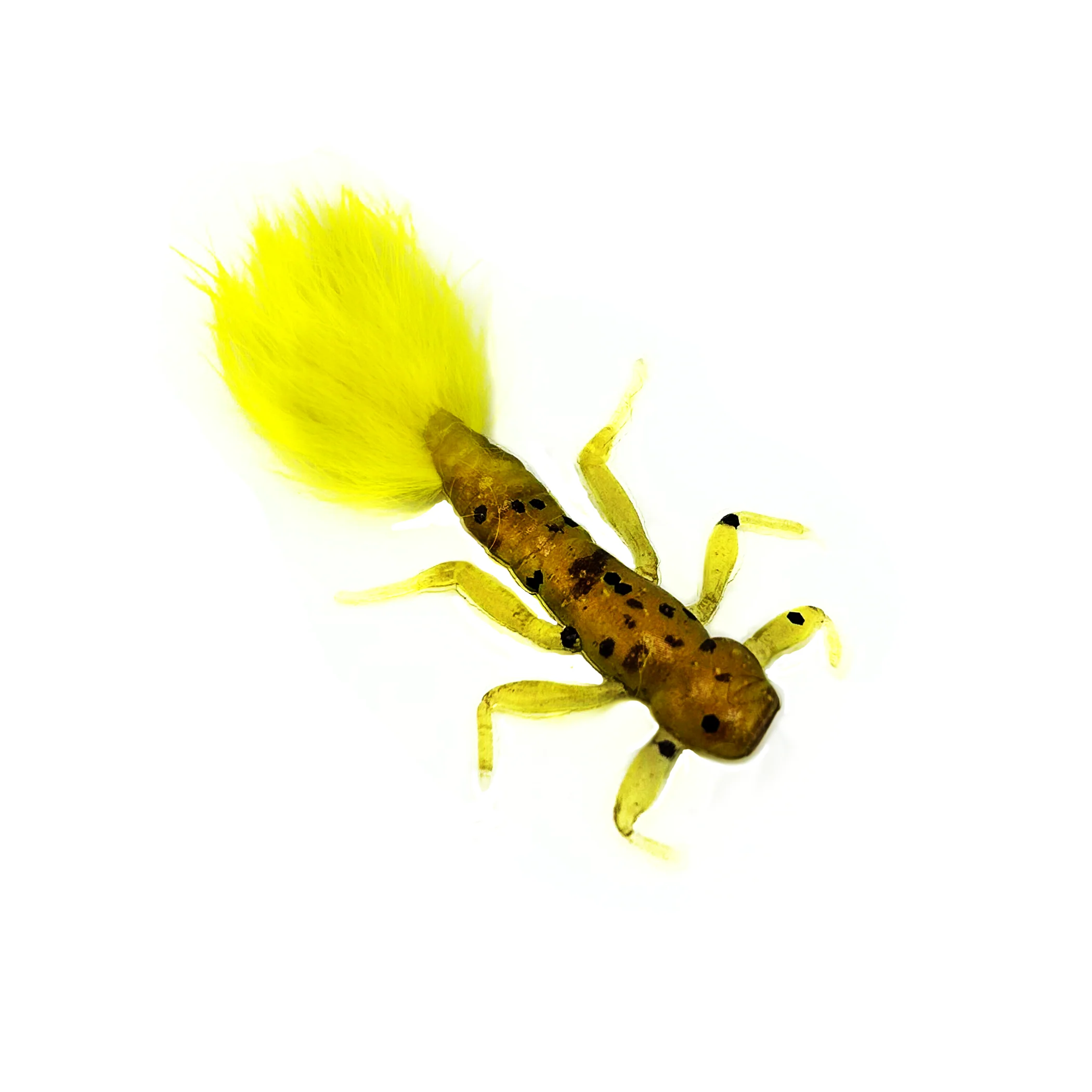 Crappie Bug - Image 8